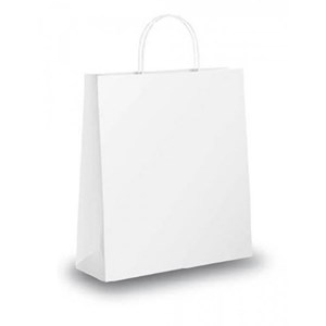 Bolsa de papel asa retorcida 24X32cms blanca